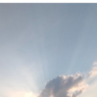 青竹